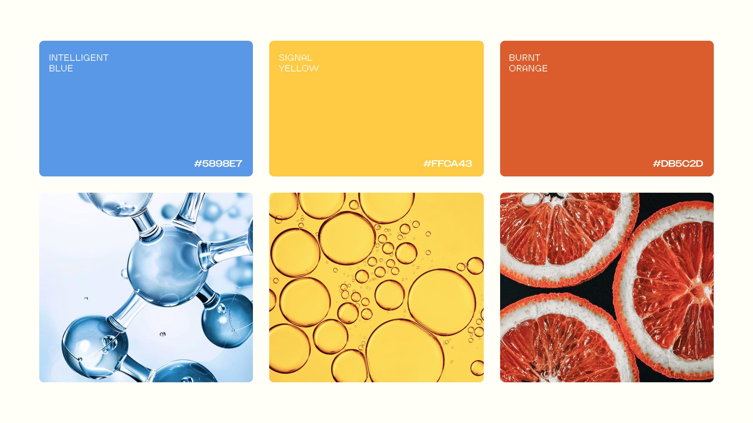 Enclir colour palette of Intelligent Blue, Signal Yellow and Burnt Orange with molecule, oil bubble and citrus imagery